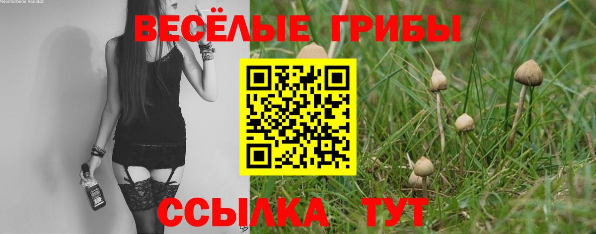 Пушкино  Псилоцибиновые грибы мухоморы  Вход с VPN 